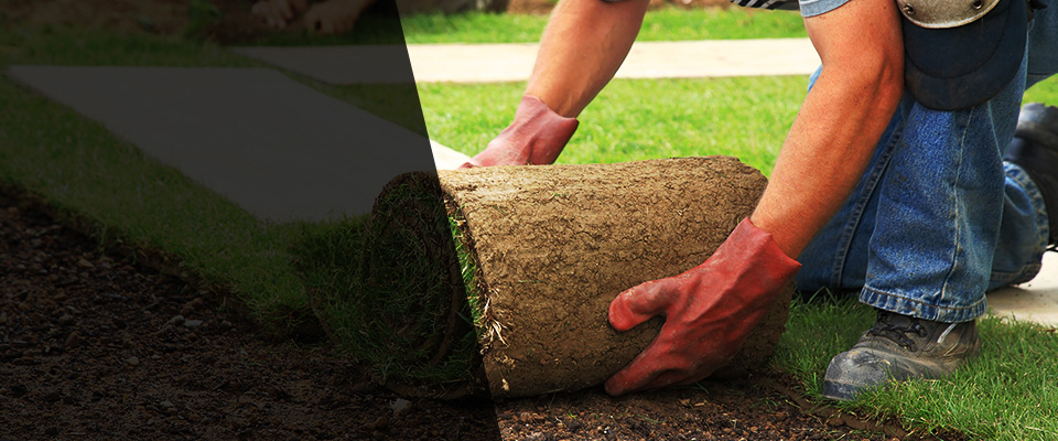 College Station Landscapers